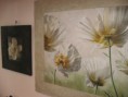 /album/galleria-foto/a208-jpg/